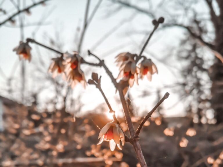 Praca z&nbsp;lękiem w&nbsp;biznesie